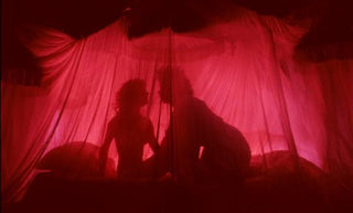 Naughty nurse, deviant doctor, sensual surgeon: unpacking the doctor-nurse fantasy